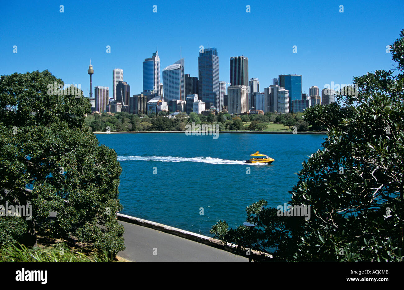 Skyline di Sydney, Sydney, Nuovo Galles del Sud, Australia Foto Stock