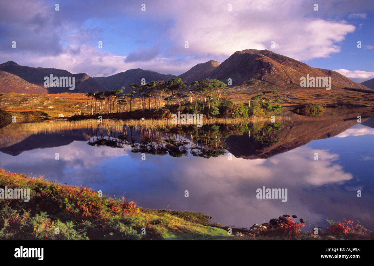 Alba la riflessione dei Twelve Bens Montagne in Derryclare Lough, Connemara, nella contea di Galway, Irlanda. Foto Stock