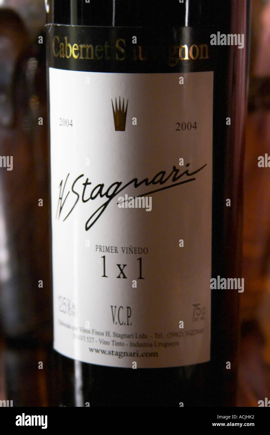 Il Cabernet Sauvignon H Stagnari 1x1 1 x 1 Primer Vinedo 2004 da un vigneto con alta densità di impianto 10000 ceppi per ettaro. Bodega Vinos Finos H Stagnari Cantina, La Puebla, La Paz, Canelones, Montevideo, Uruguay Sud America Foto Stock