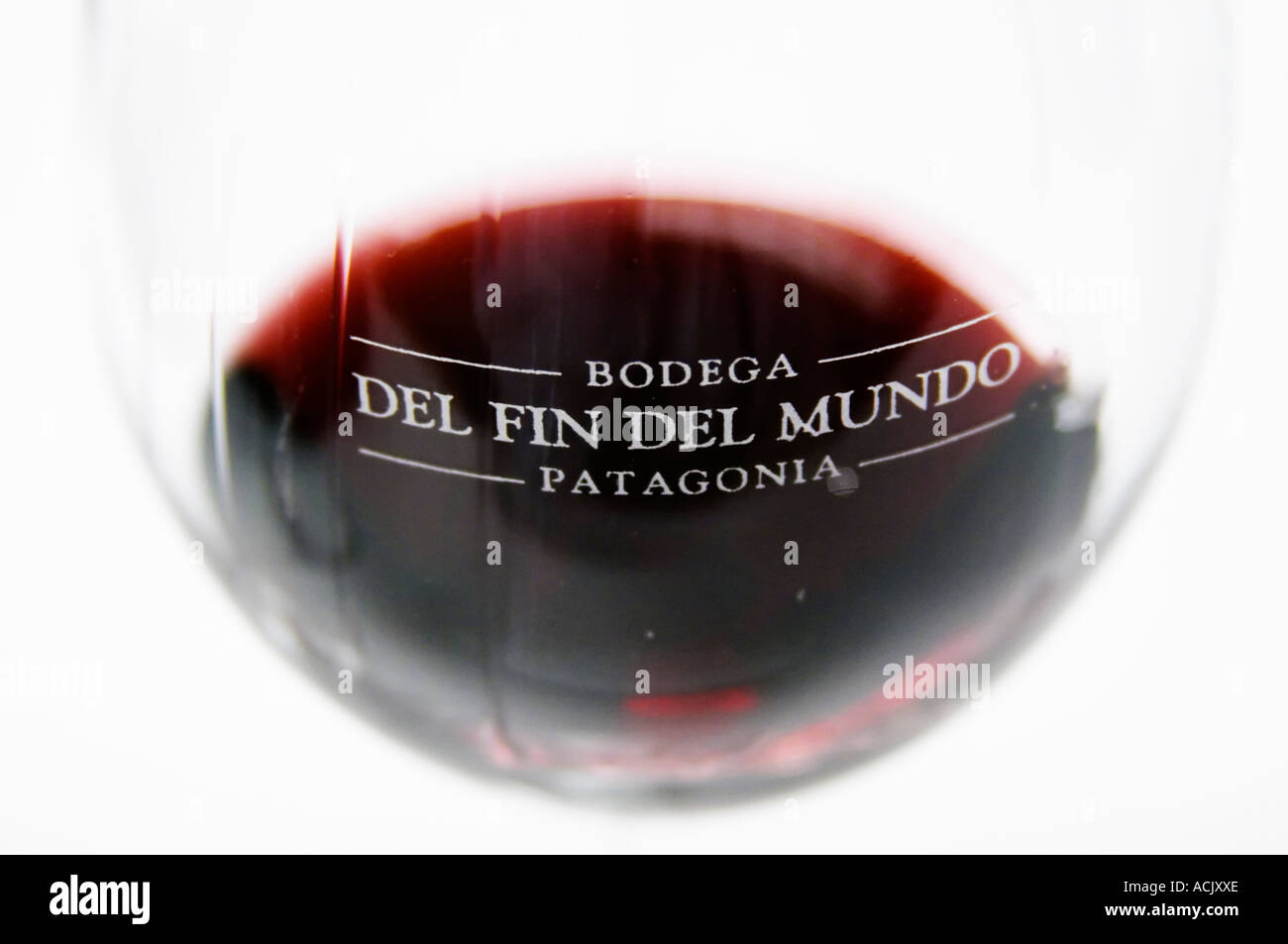 Bicchiere di vino rosso con inciso il nome del vigneto contro uno sfondo bianco Bodega del fin del mundo - la fine del mondo - Neuquen, Patagonia, Argentina, Sud America Foto Stock
