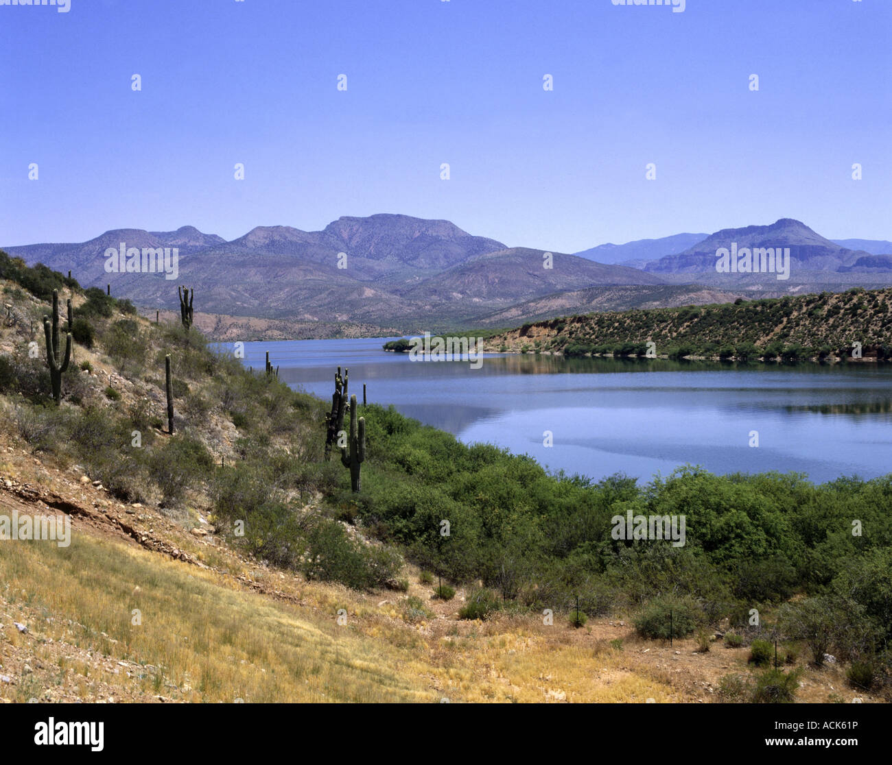Geografia / viaggi, STATI UNITI D'AMERICA, Arizona, Theodore Roosevelt lago, area ricreativa, Foto Stock