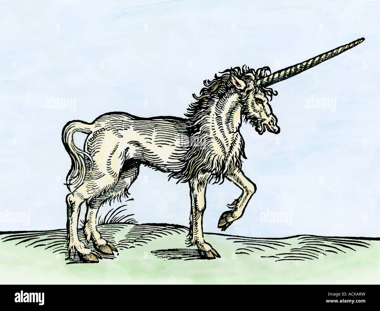 Unicorn come raffigurato in Historiae Animalium da Gesner pubblicato in Zurigo 1551. Colorate a mano la xilografia Foto Stock