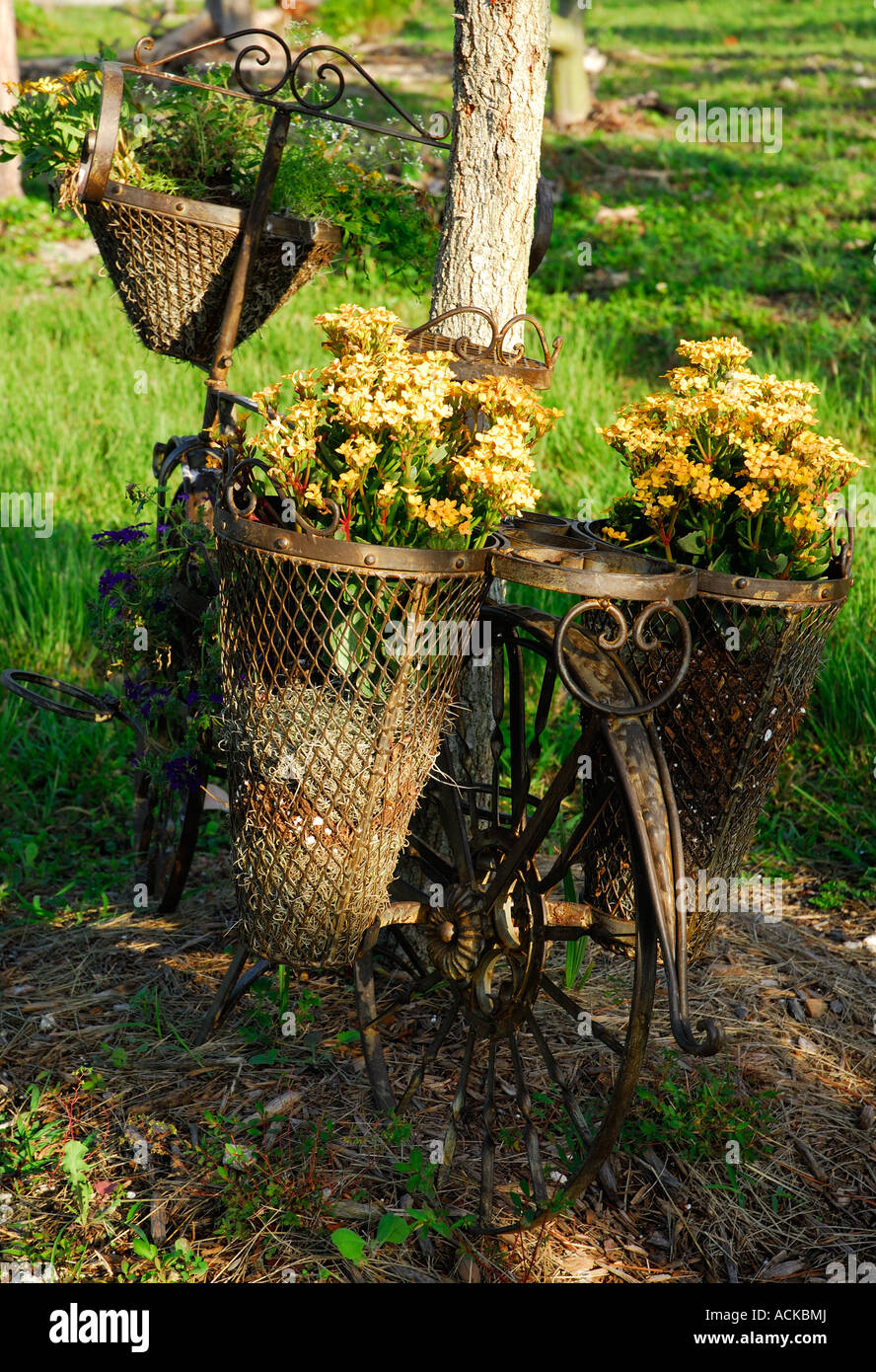 Vecchia bicicletta in giardino Foto Stock