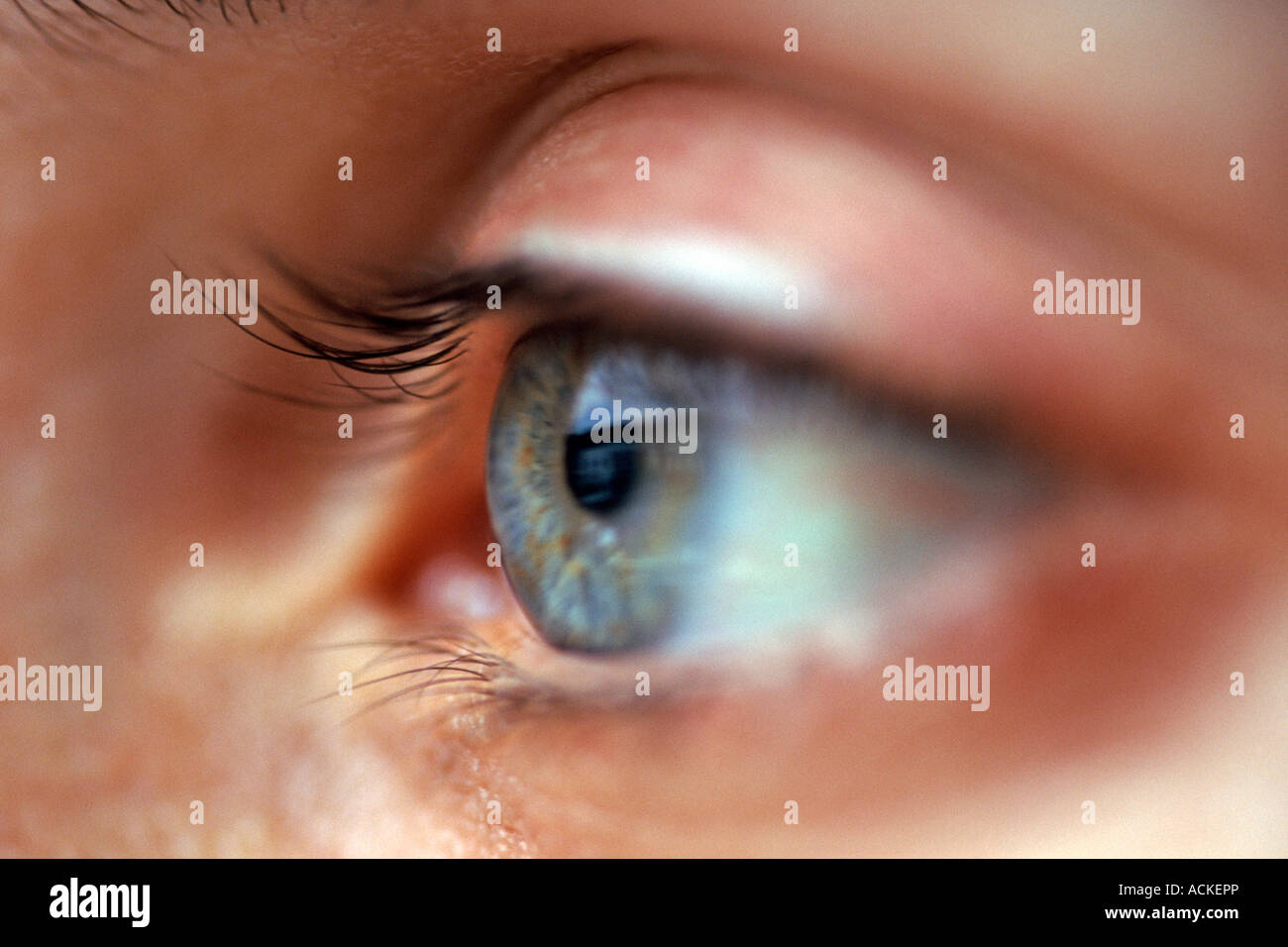 Close-up di una donna di occhio sinistro. Vedere anche ACXTJT dell'immagine. Foto Stock