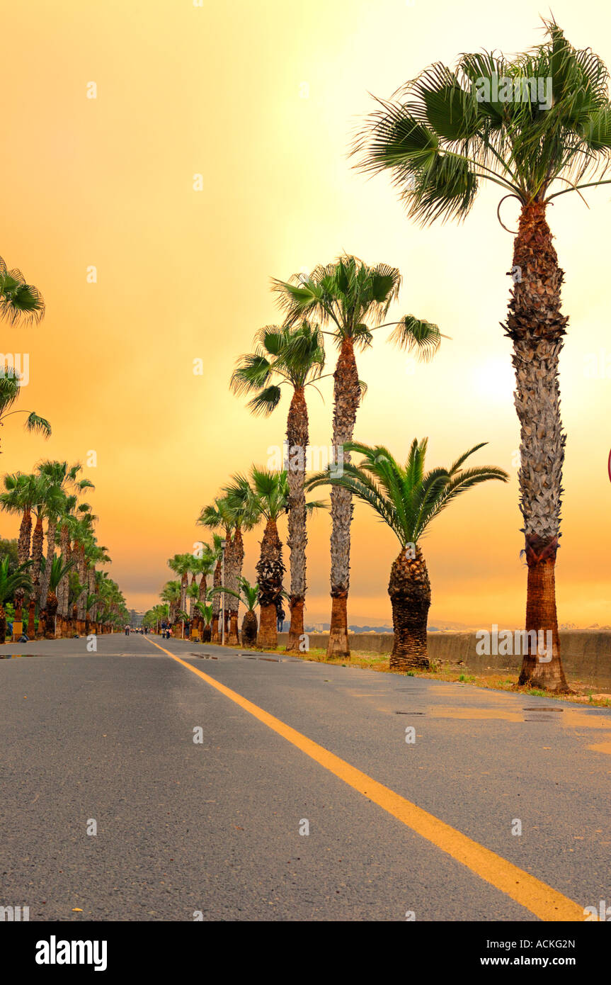 Palme lungo la città di Limassol fronte mare sulla drammatica arancione tramonto Cipro street Foto Stock