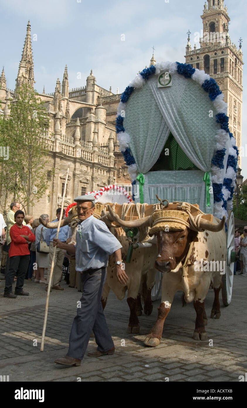 Ox carro trainato con il pastore di lasciare Siviglia dalla Cattedrale annuale sul Romeria del Rocio Andalucía Spagna Foto Stock