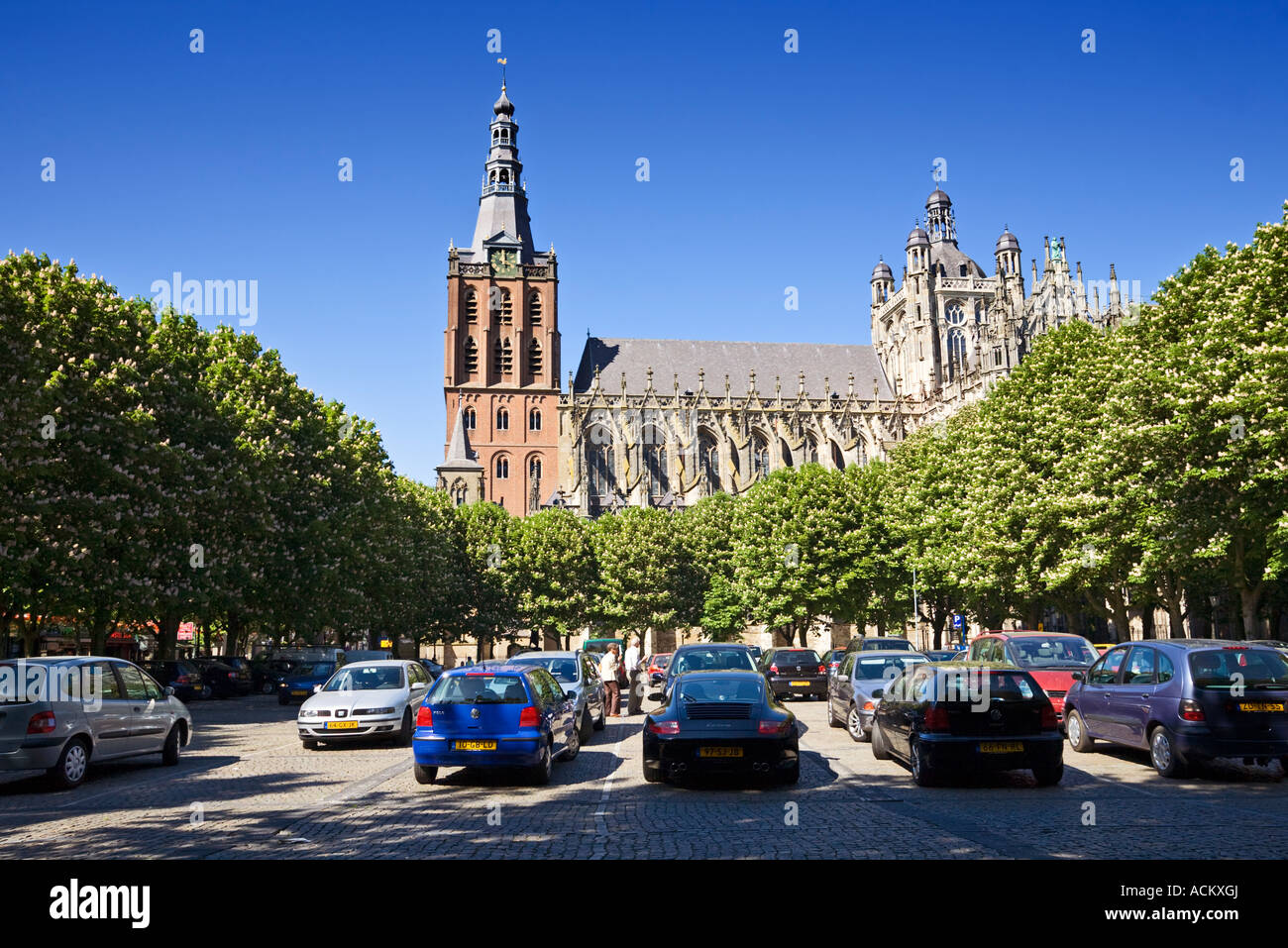 St Jans cattedrale in s Hertogenbosch, Holland, Paesi Bassi Foto Stock