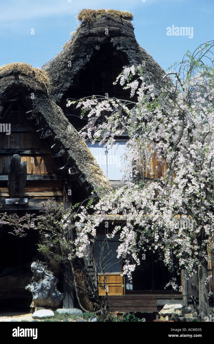 Shirakawa-go villaggio Giappone Foto Stock