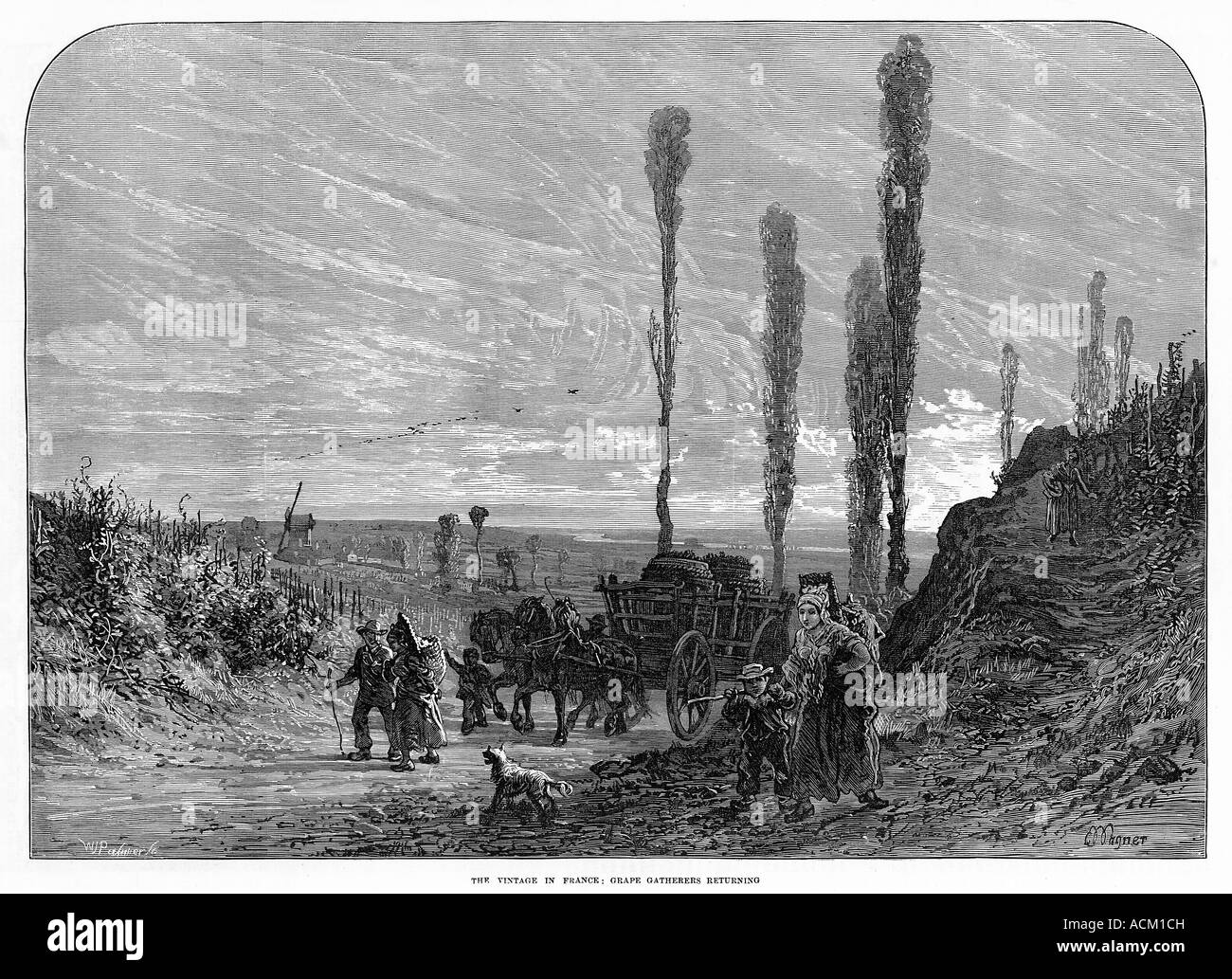Raccoglitori di uva tornando 1878 incisione del Vintage in Francia una serata in scena i vigneti Foto Stock
