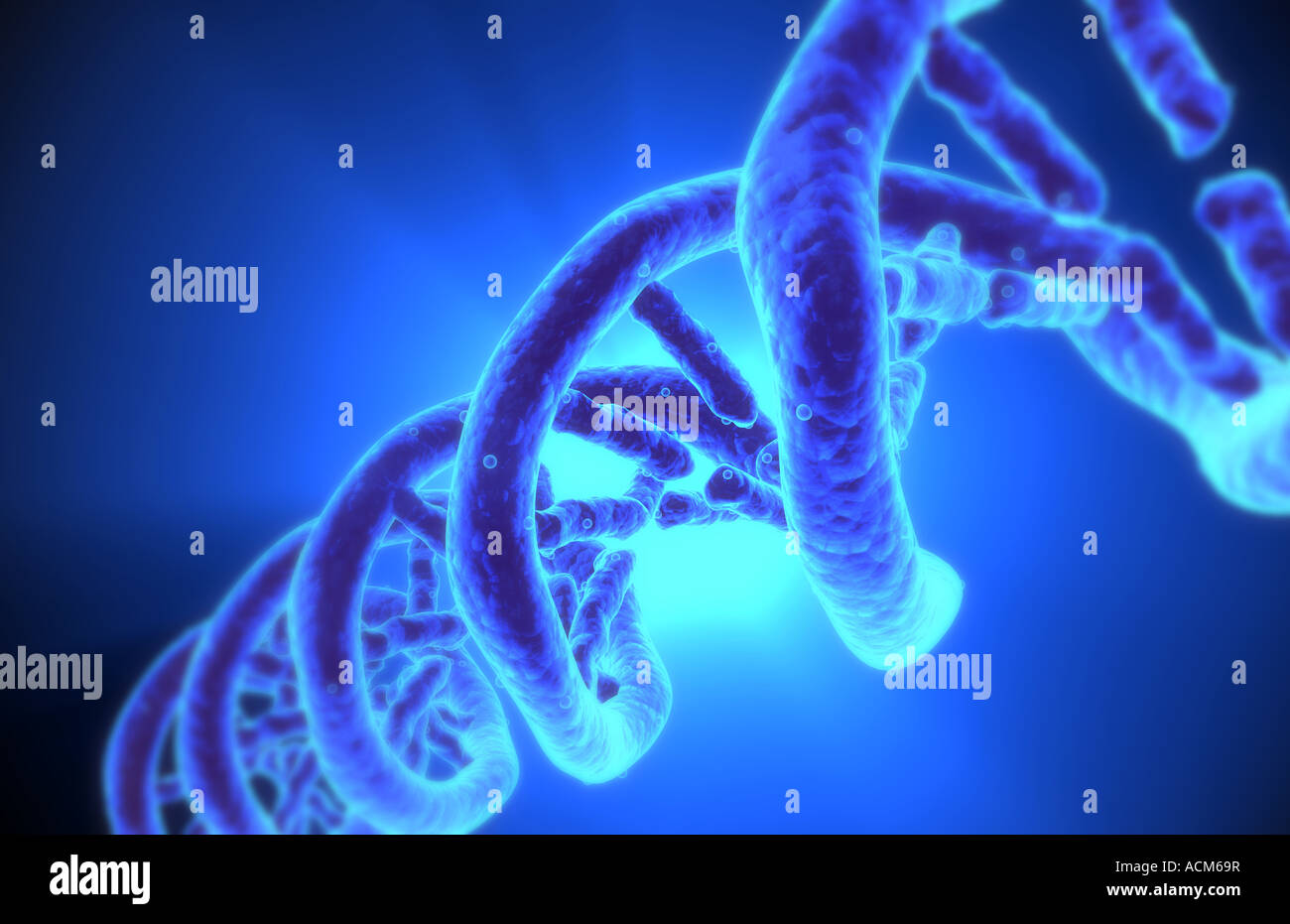 Struttura del DNA Foto Stock