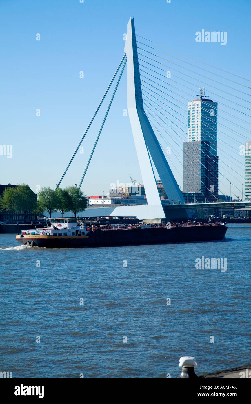 Rotterdam Erasmus Bridge e il porto Holland, Europa Foto Stock