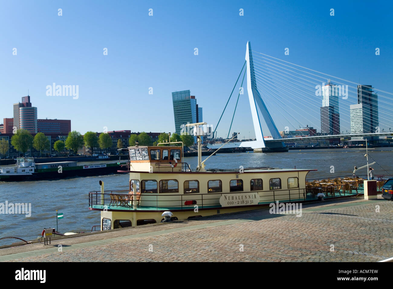 Rotterdam e sul ponte di Erasmo e il porto Holland, Europa Foto Stock