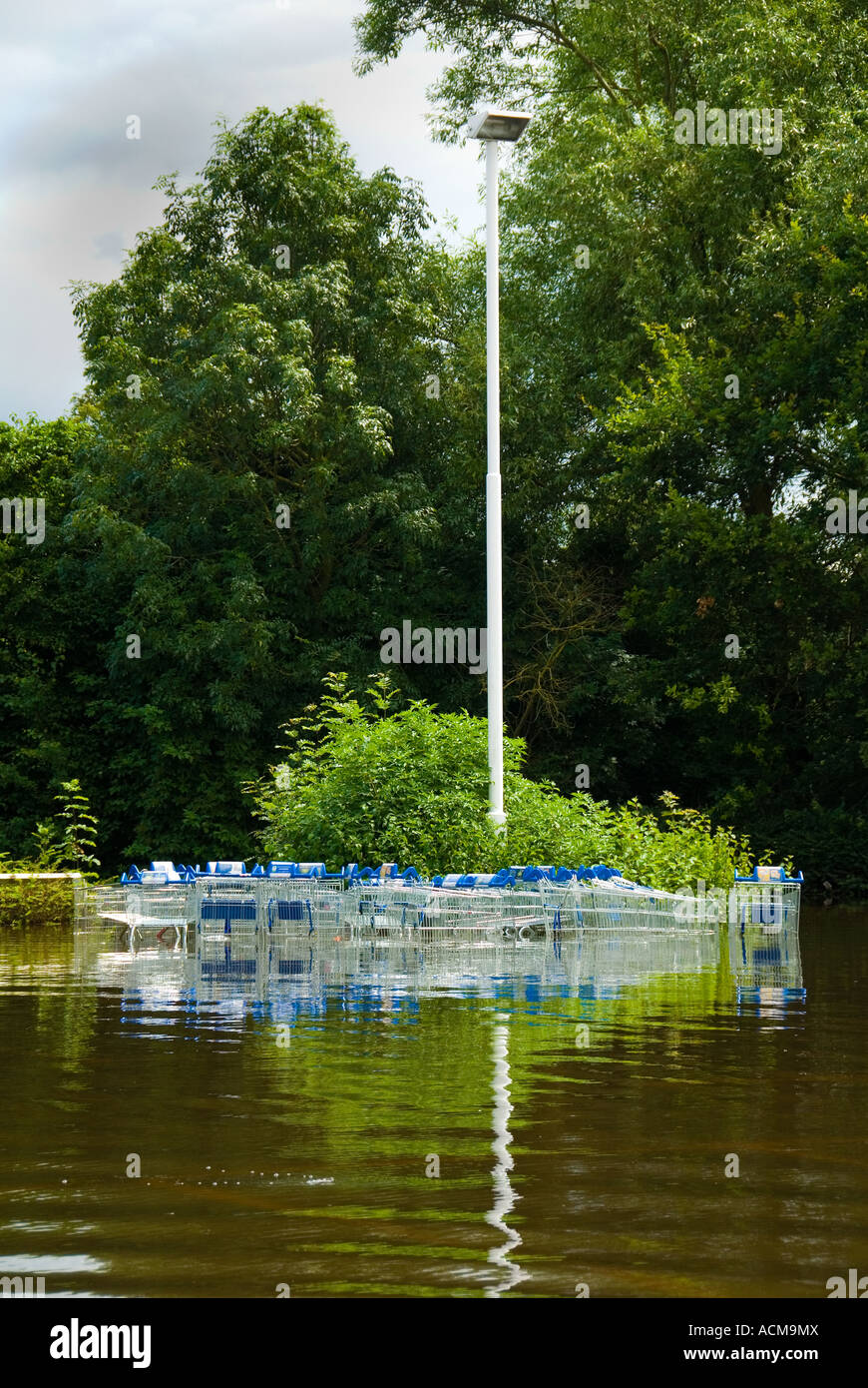 In un invaso supermercato Parcheggio Auto Foto Stock