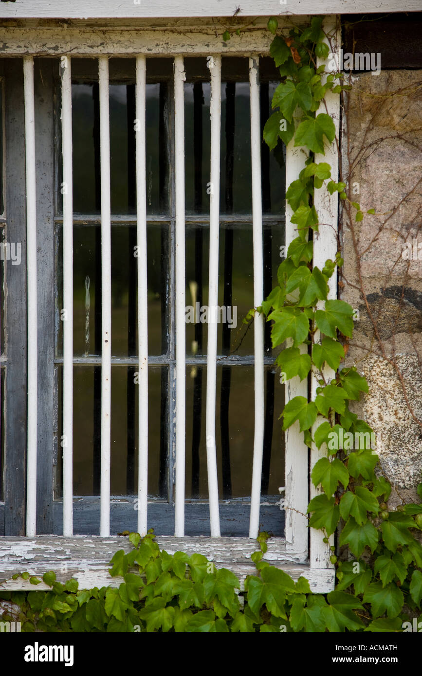 Barre di ferro di fronte a una finestra per la sicurezza Foto Stock