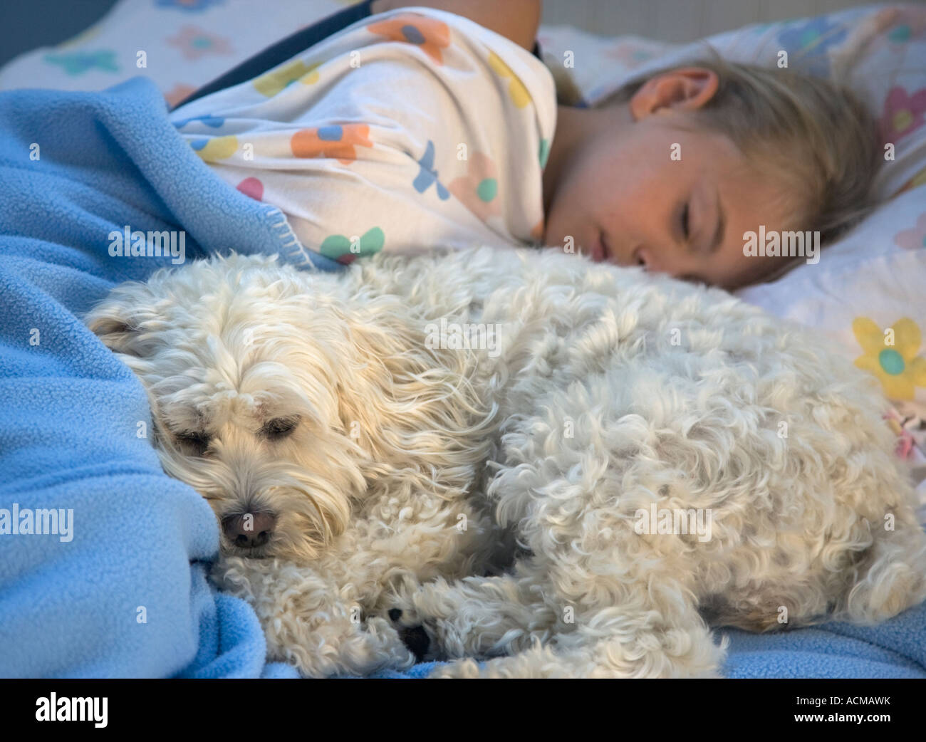 Bambino che dorme con il suo cane Foto Stock