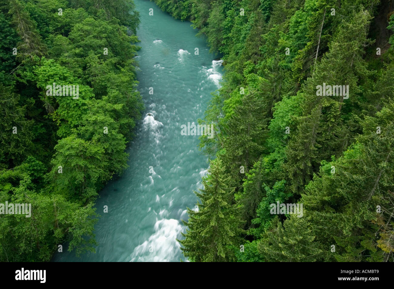 Stati Uniti d'America, nello Stato di Washington, il Parco nazionale di Olympic, inferiore fiume Elwha. Dighe prevista per il distacco su Elwha per ripristinare il salmone viene eseguito Foto Stock