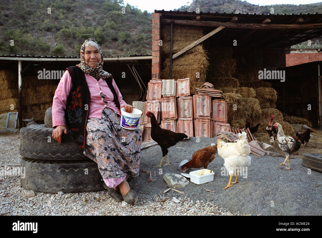 I vecchi donna turca tendendo i suoi pulcini in una fattoria in un piccolo villaggio nel sud della Turchia occidentale. Foto Stock