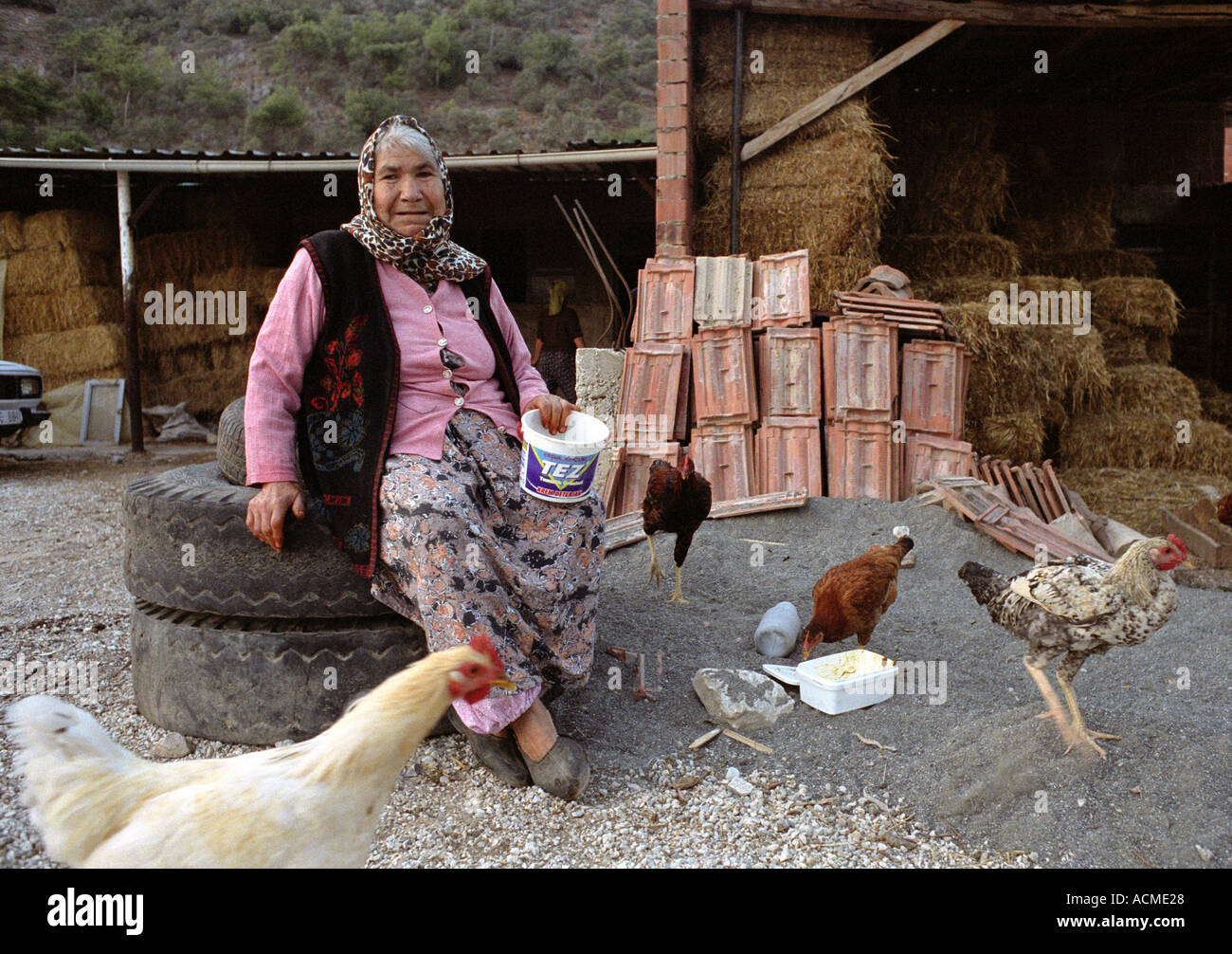 I vecchi donna turca tendendo i suoi pulcini in una fattoria in un piccolo villaggio nel sud della Turchia occidentale. Foto Stock