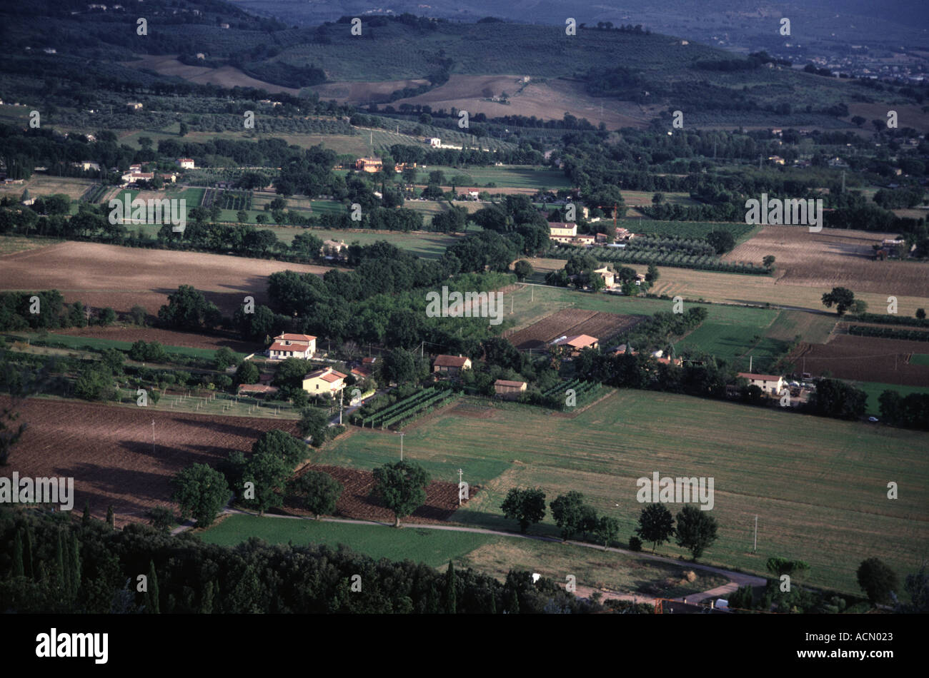 Oliveto e terreni agricoli Chiona lungo la valle del fiume basse pendici del Monte Subasio vicino a Spello UMBRIA ITALIA Foto Stock