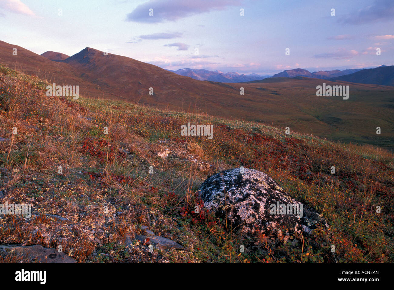 Brooks Range montagne, cancelli dell'Artico National Park, Alaska Foto Stock