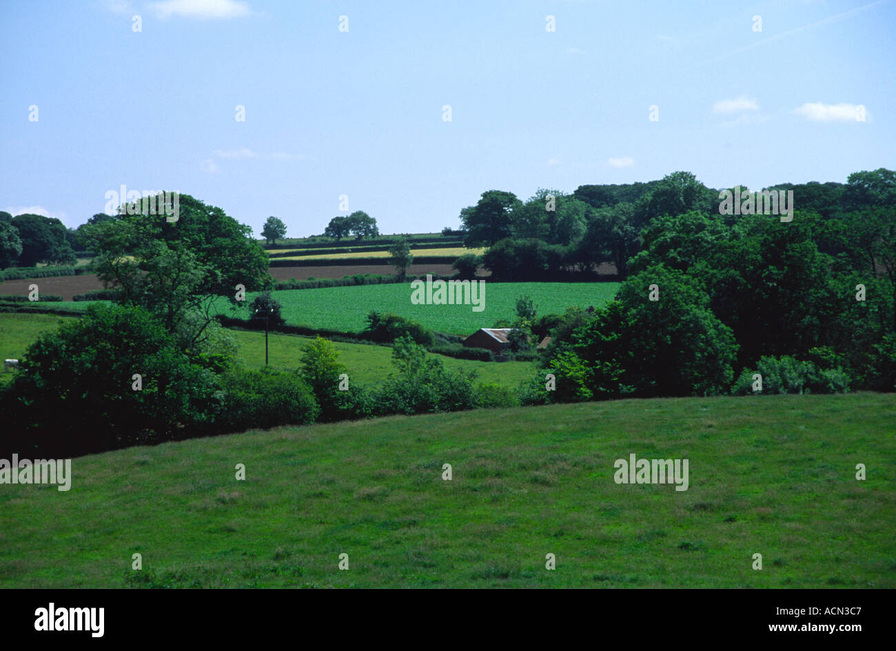 Le colline vicino a Tiverton e Exeter in metà Devon England Foto Stock