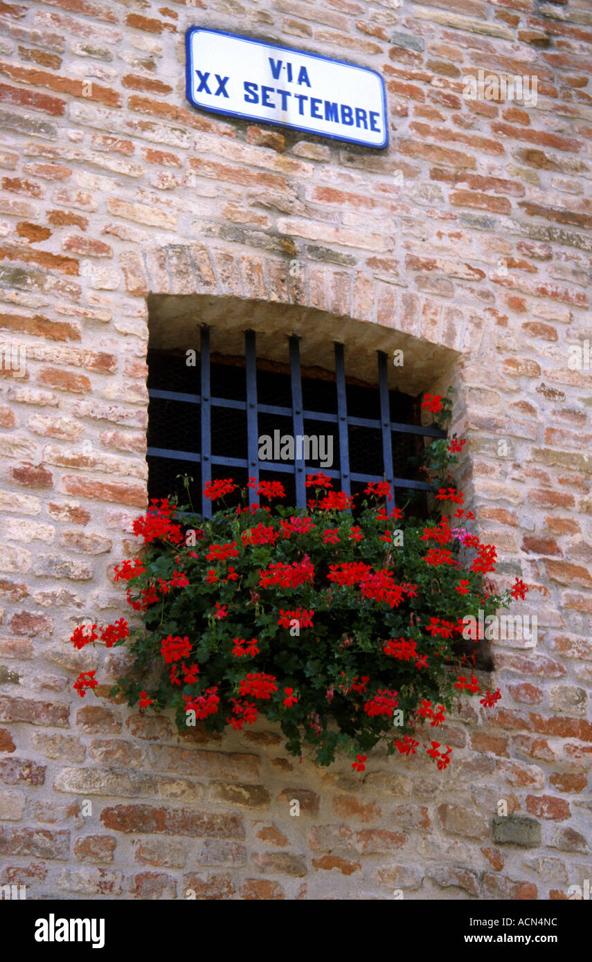 Tipico geranuim caricato nella finestra hilltown di Sarnano nelle Marche ,Italia Foto Stock