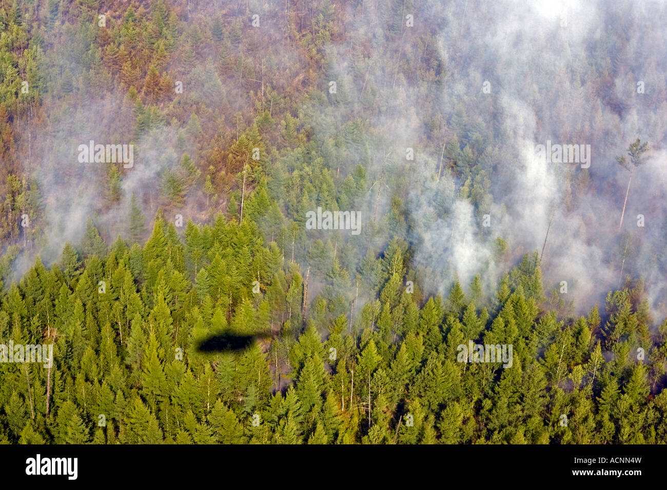 Komsomolsk Russia giugno 2007 un incendio di foresta in una regione remota della taiga Siberiana foresta Foto Stock