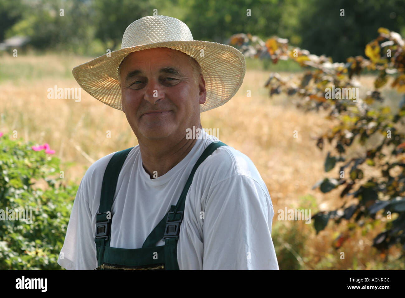 Il vecchio uomo con cappello di paglia - Älterer Mann mit Sonnenhut Foto  stock - Alamy