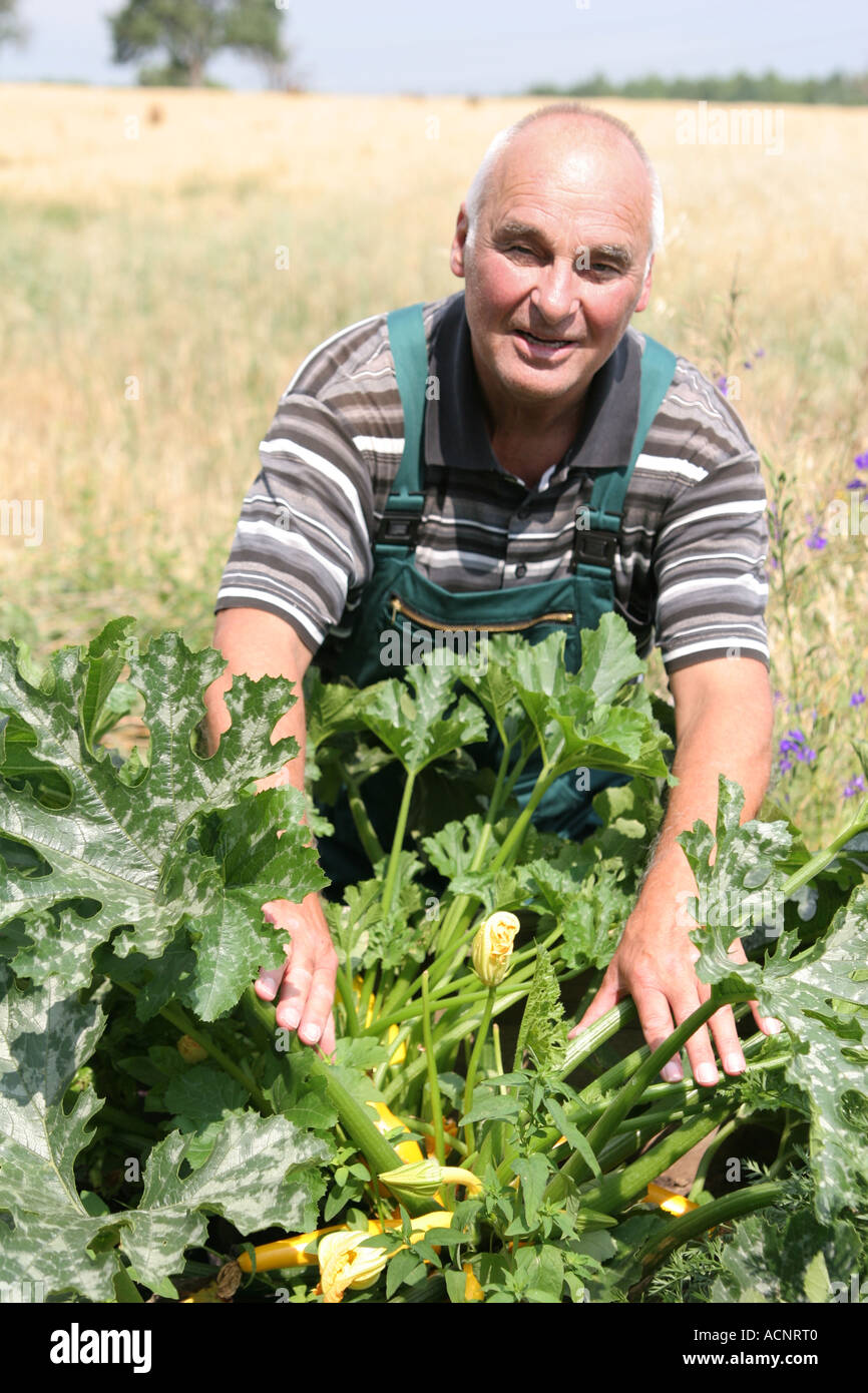 L uomo nel giardino vegetale - Mann im Gemüsegarten Foto Stock