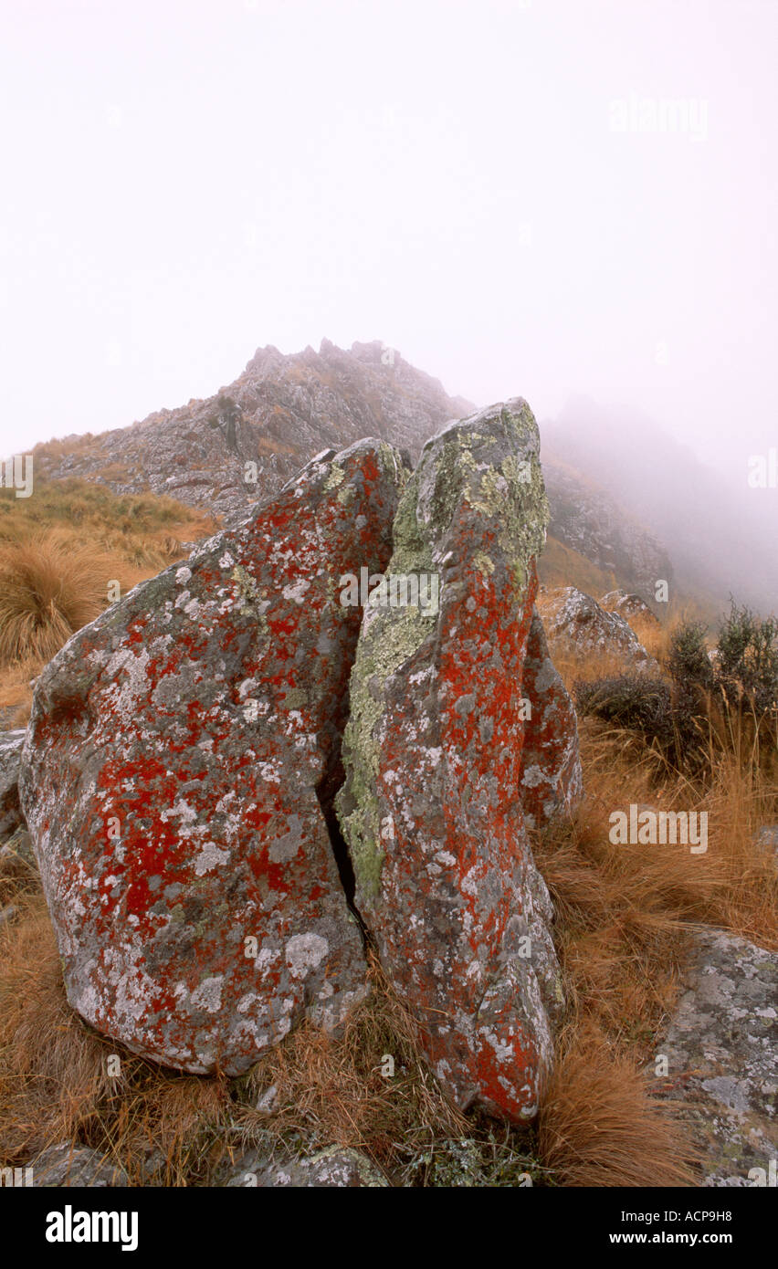 Colline di porta nella nebbia vicino a Christchurch Canterbury Isola del Sud della Nuova Zelanda Foto Stock