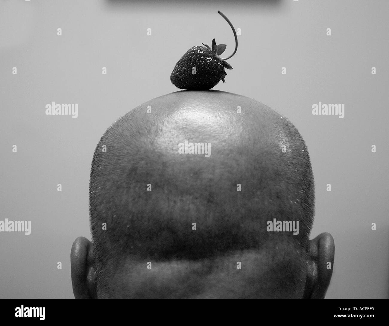 Un uomo calvo con una fragola sulla testa dalla parte posteriore bald umorismo Foto Stock Un uomo calvo con una fragola sulla testa dalla parte posteriore bald umorismo Foto Stock