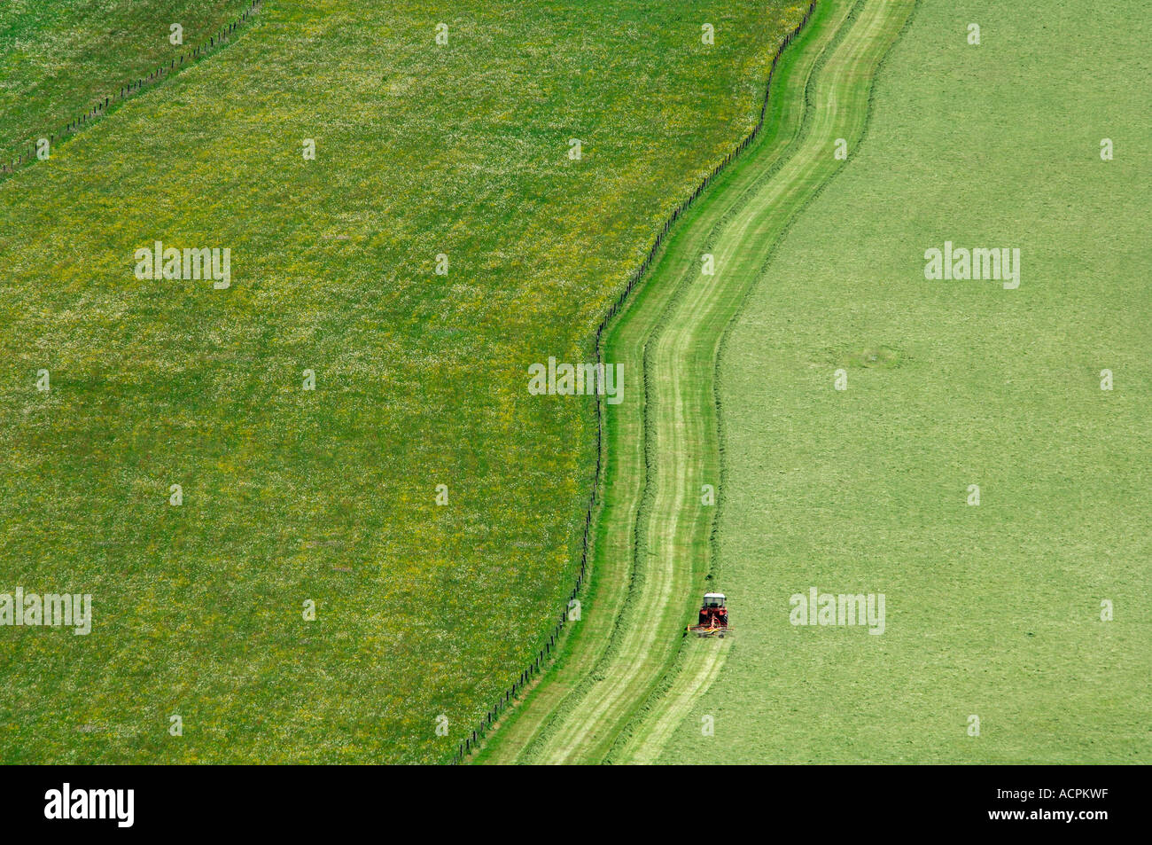 Trattore su prato Foto Stock