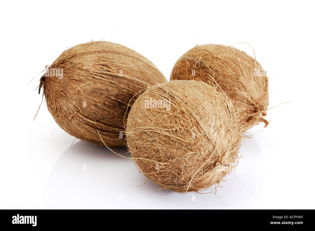 Noci di cocco, close-up Foto Stock