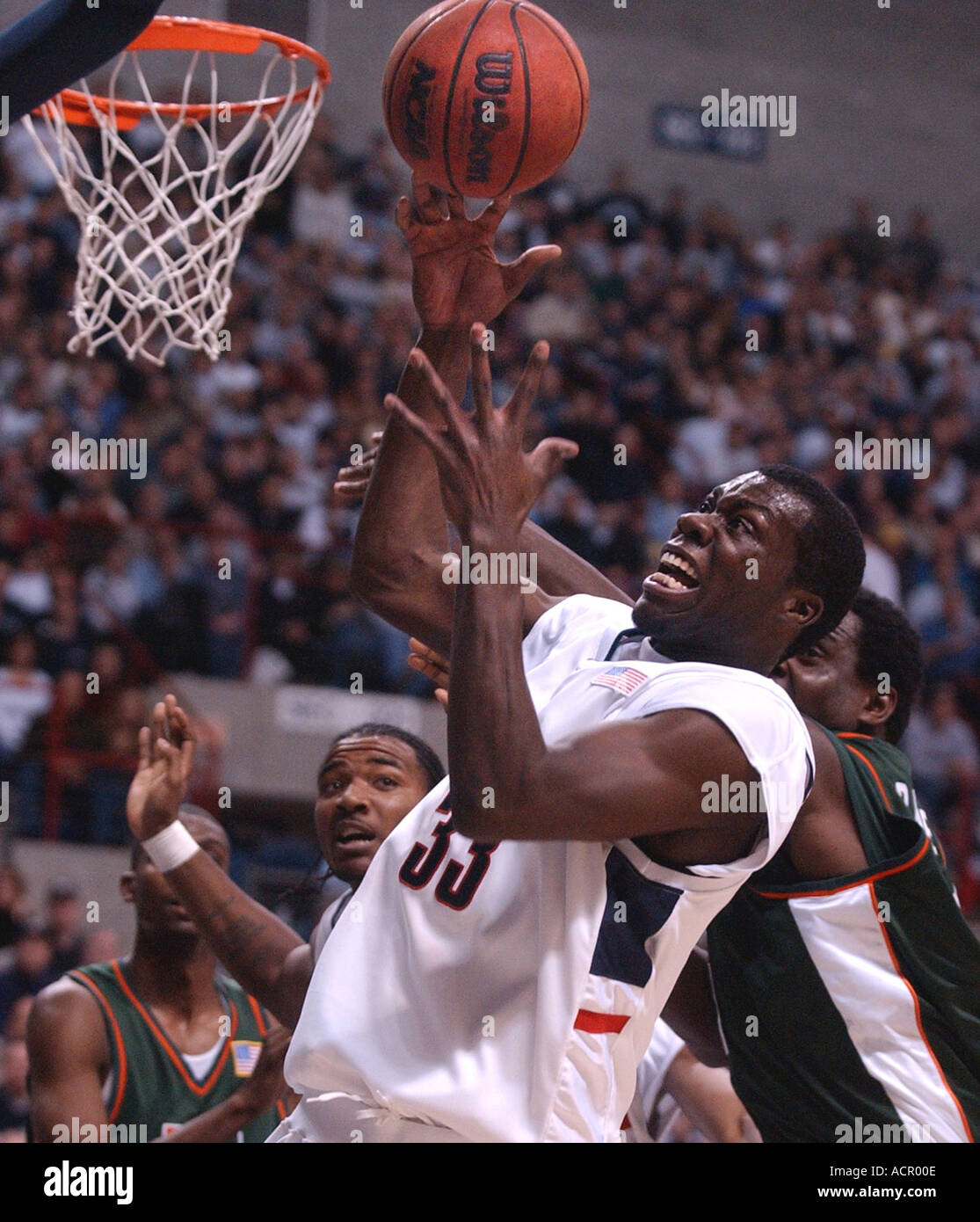 College Basketball UCONN Univeristy of Connecticut basket Foto Stock