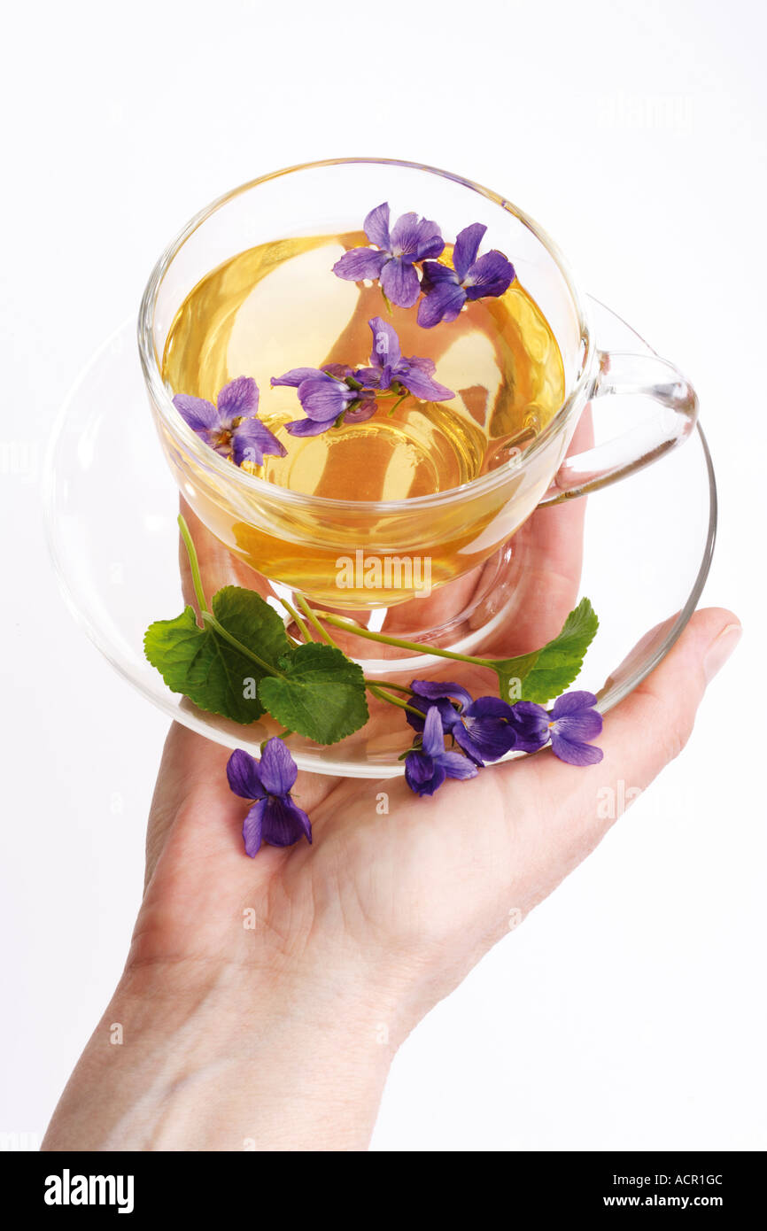 Tè viola Foto Stock