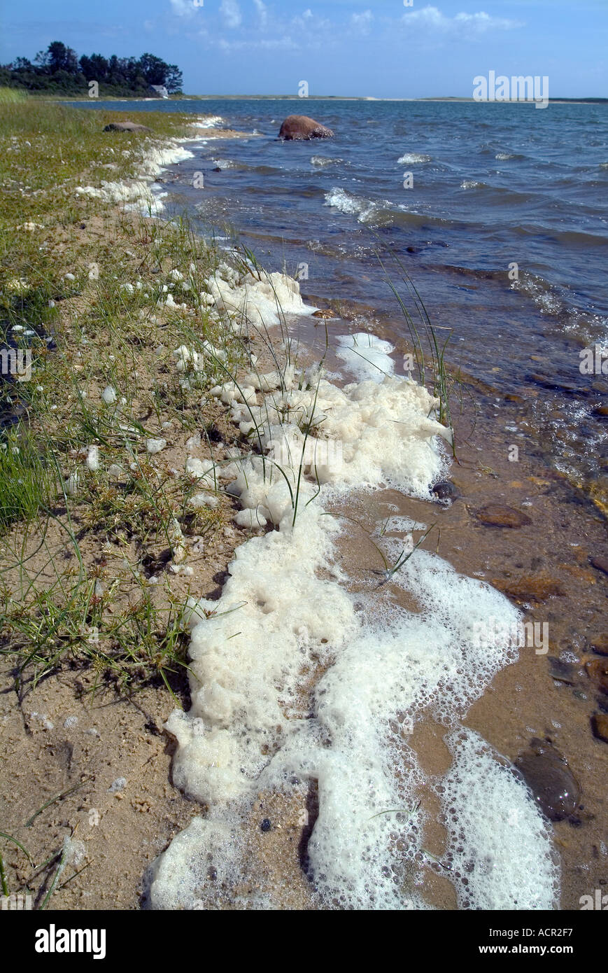 Schiuma di mare oceano, schiuma, Spiaggia, schiuma o Spume Foto Stock