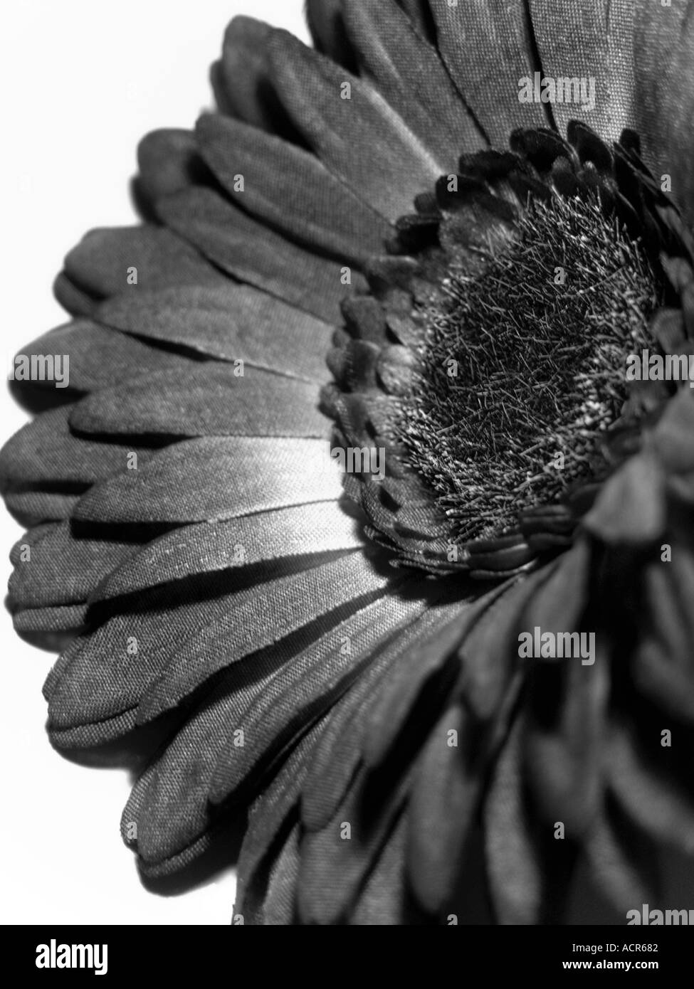 Un girasole artificiale in mono Foto Stock
