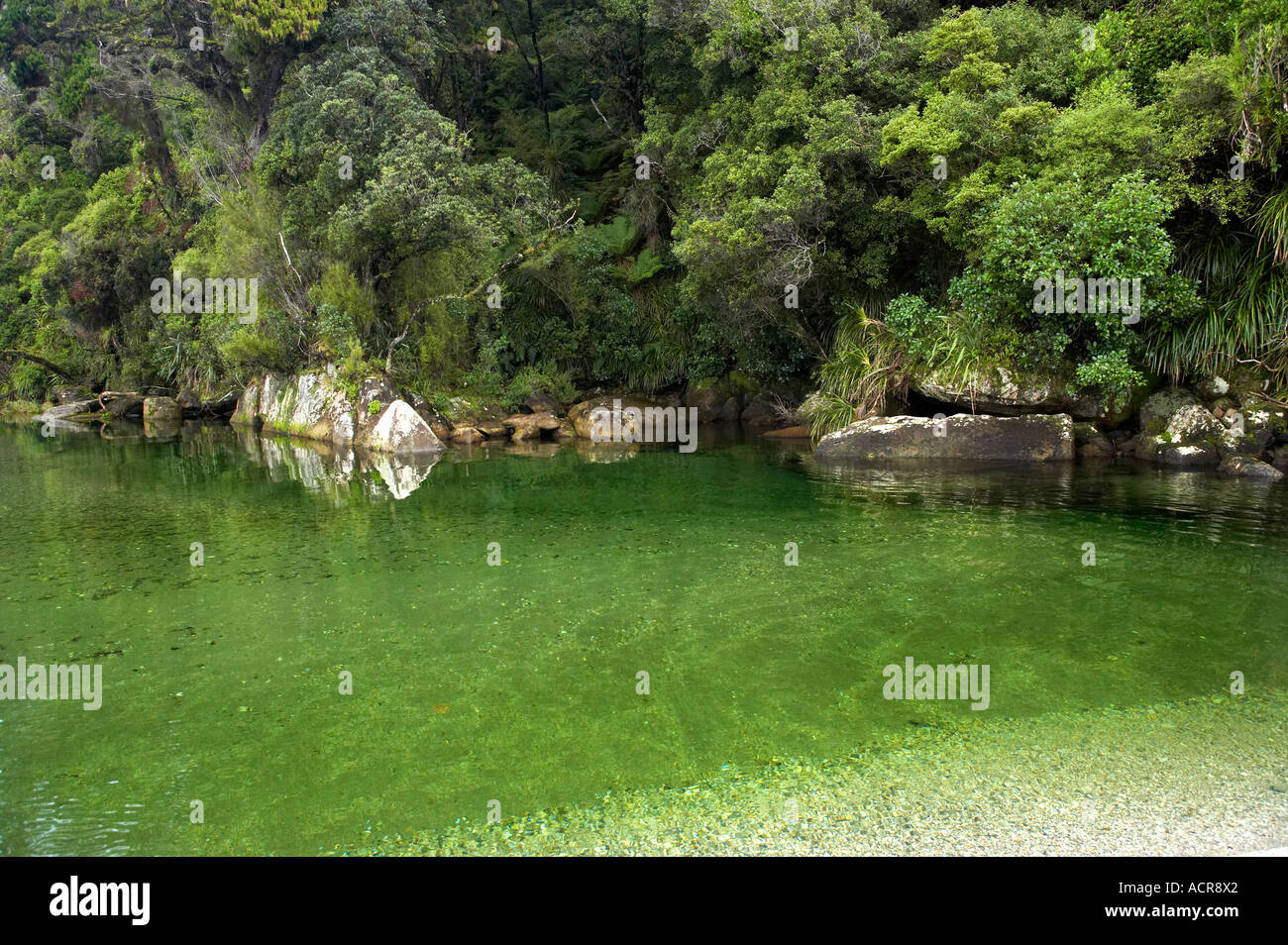 Foce del Fiume Whakapohai costa ovest di Isola del Sud della Nuova Zelanda Foto Stock