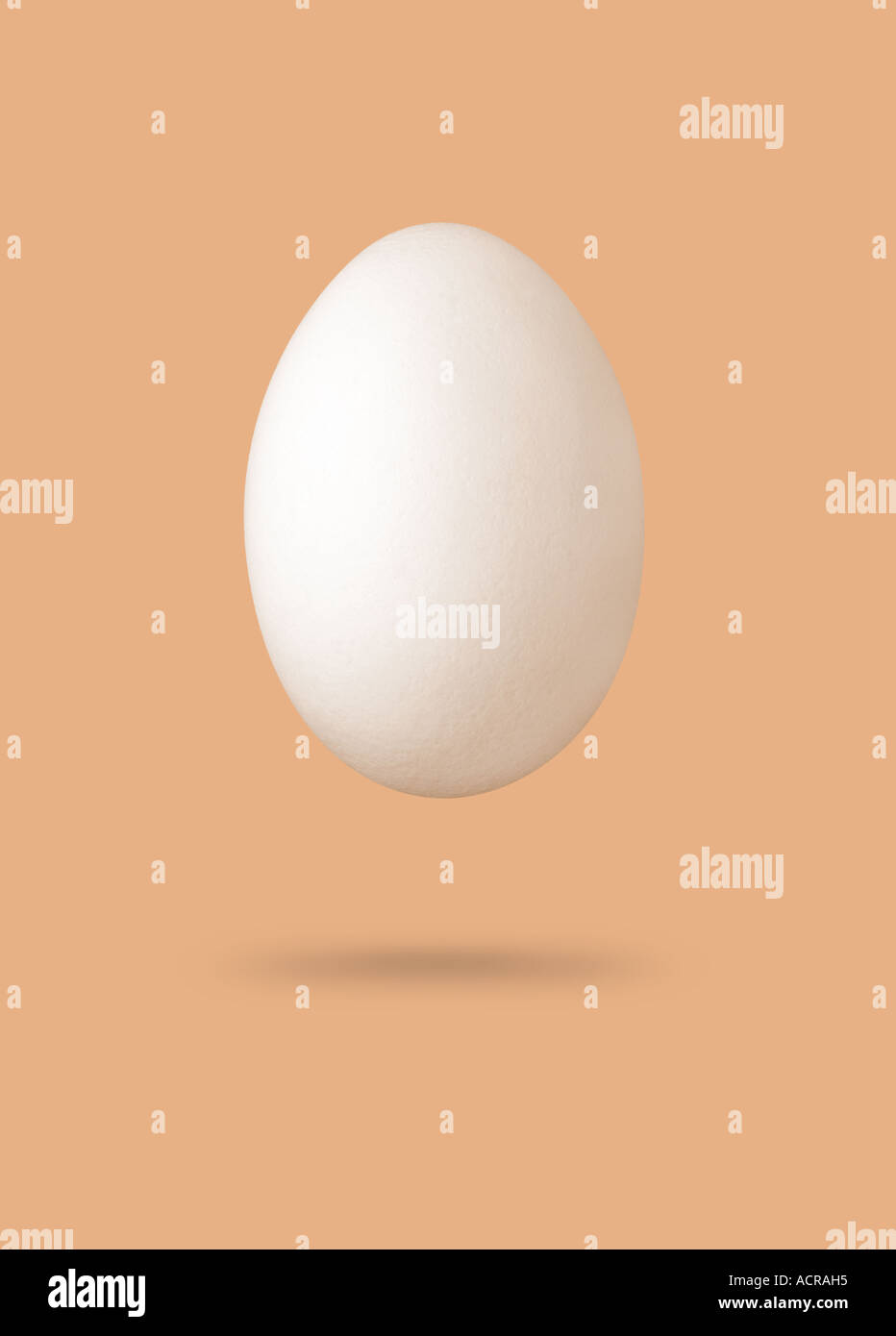 Uovo bianco weisses Ei Foto Stock