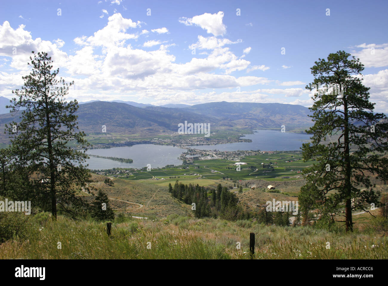 Vista della città Osoyoos e il lago nella regione vinicola del Canada del sud Foto Stock