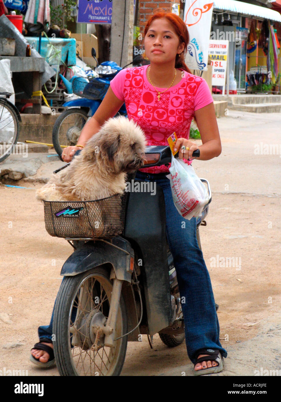 Giovane donna con soffici cane equitazione sulla motocicletta Ko Pha Ngan isola della Thailandia Foto Stock