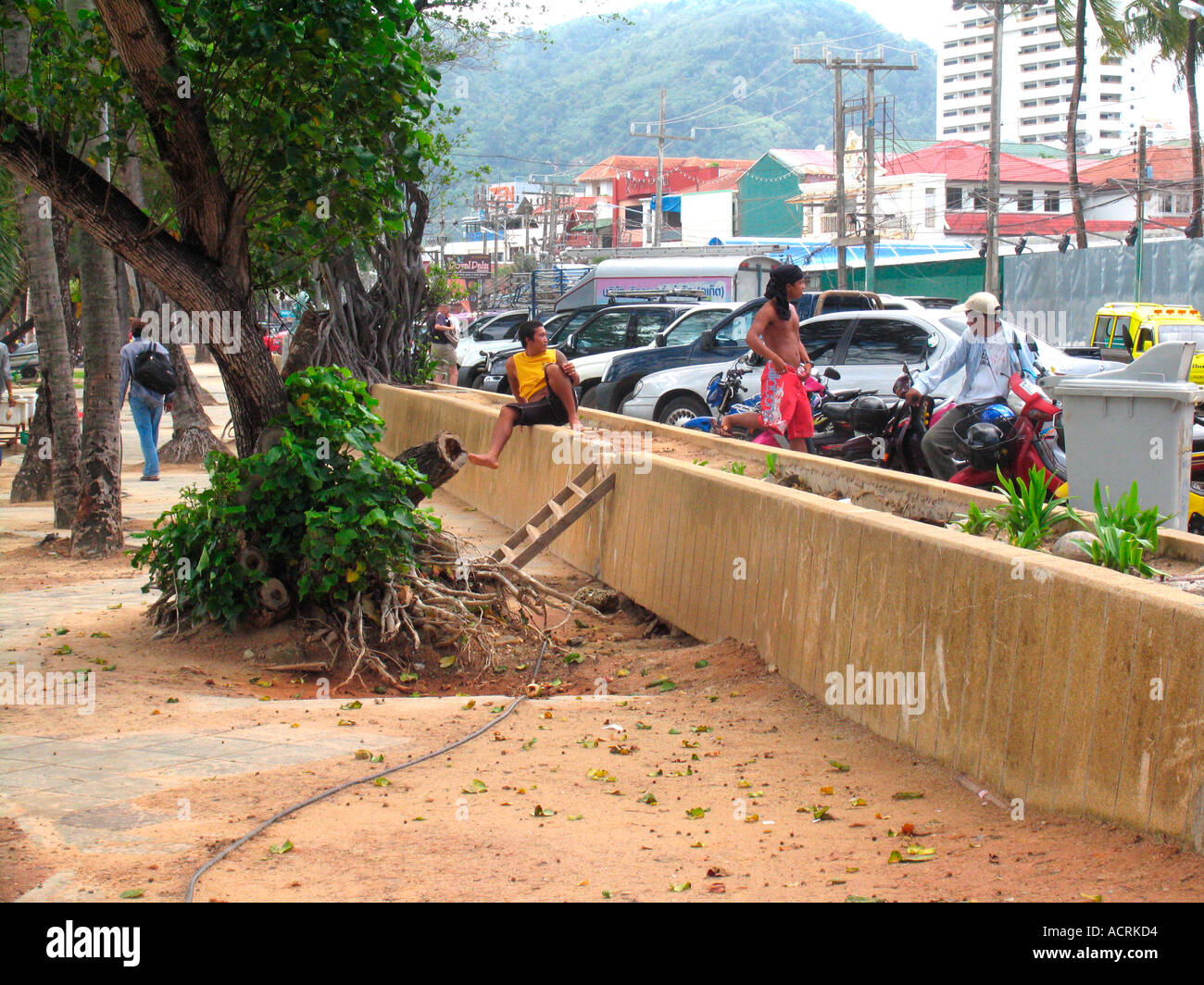 Sabbia e lavato le radici di albero su Patong Beach esplanade dopo lo tsunami isola di Phuket Thailandia Foto Stock