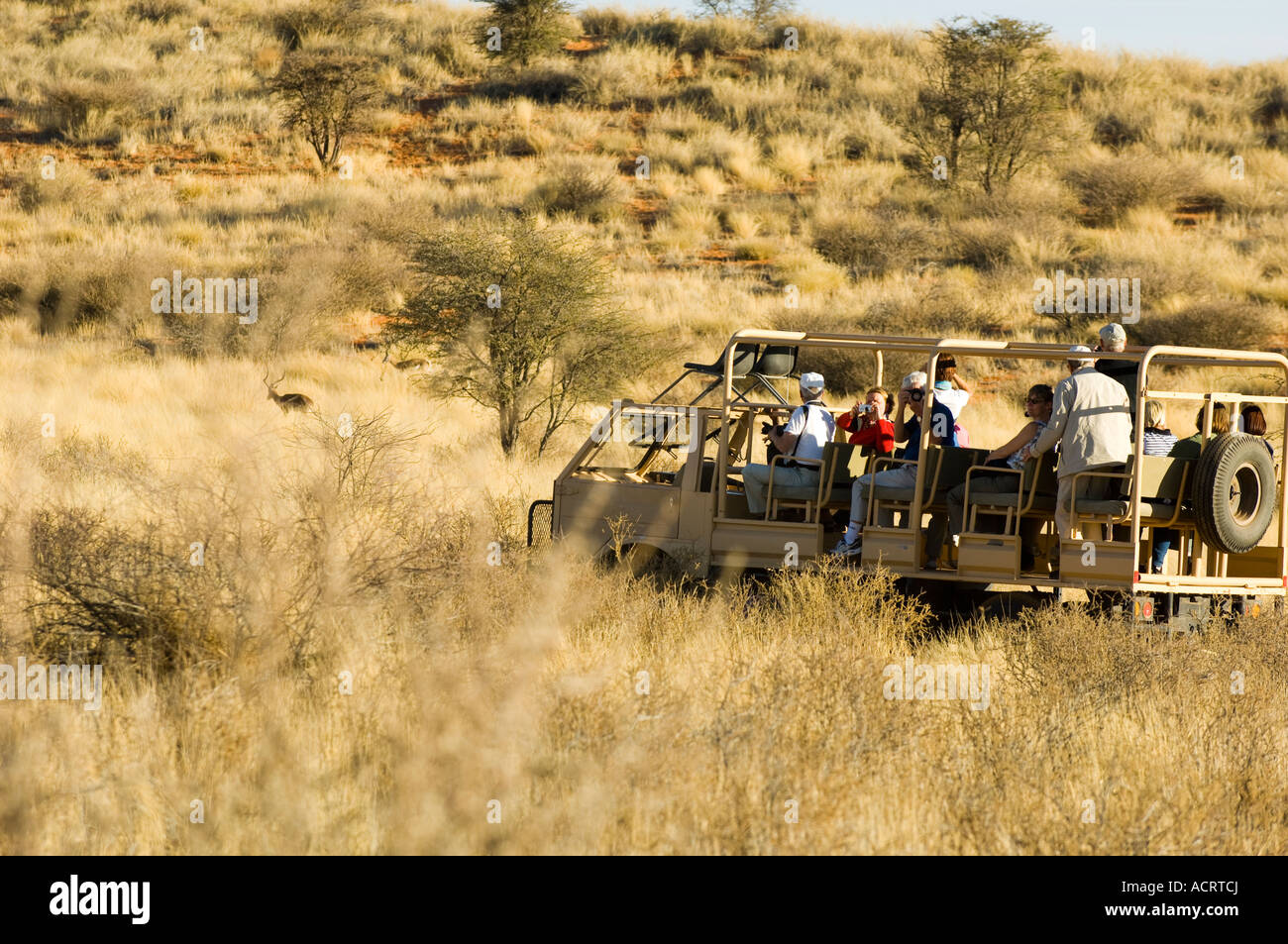 Sundowner game drive deserto Kalahari Namibia Foto Stock