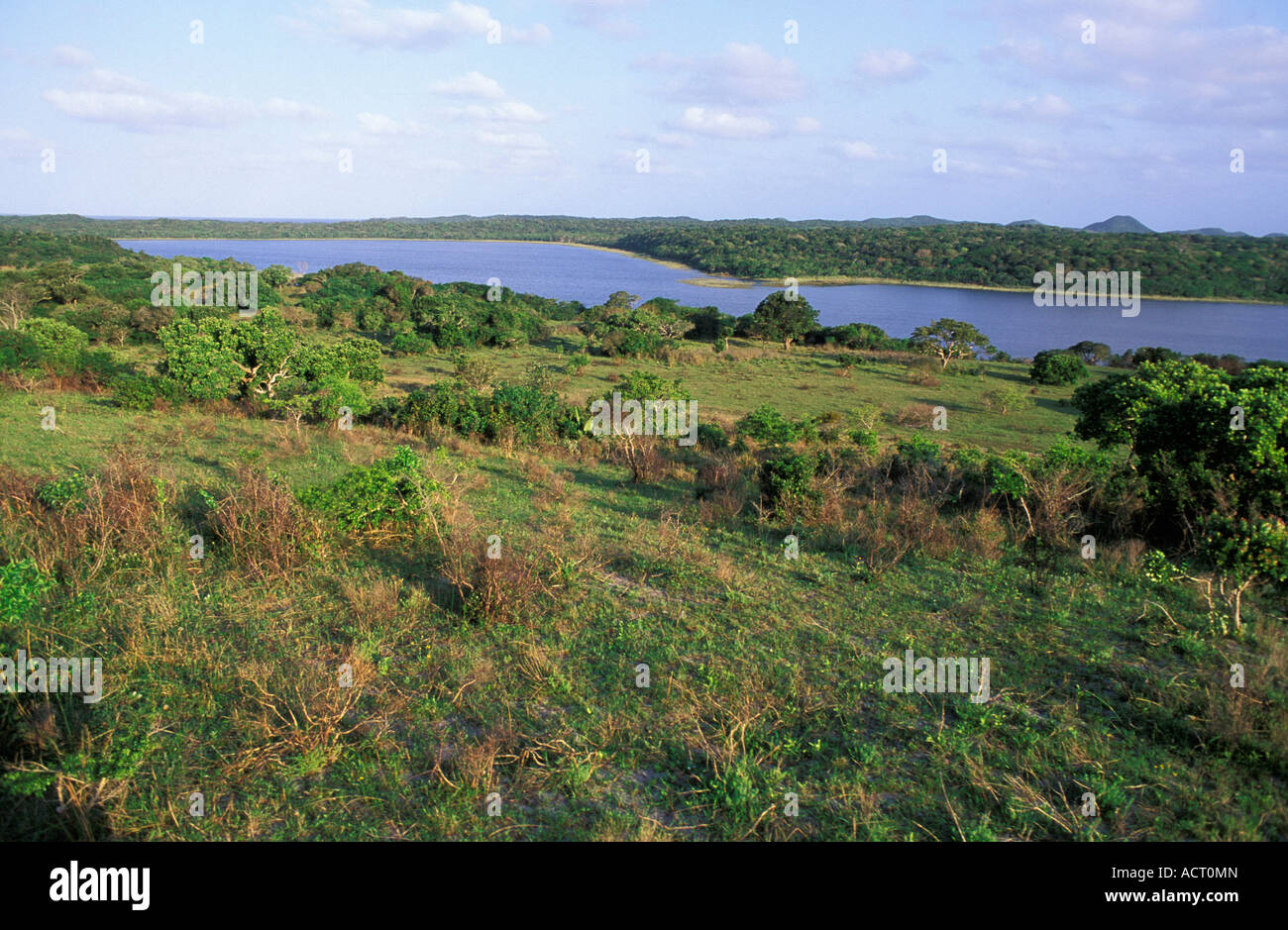 Vista del lago Mgobezeleni vicino alla Baia di Sodwana potete northern Natal Sud Africa Mgobezeleni lago vicino a Baia di Sodwana potete Sud Africa Foto Stock