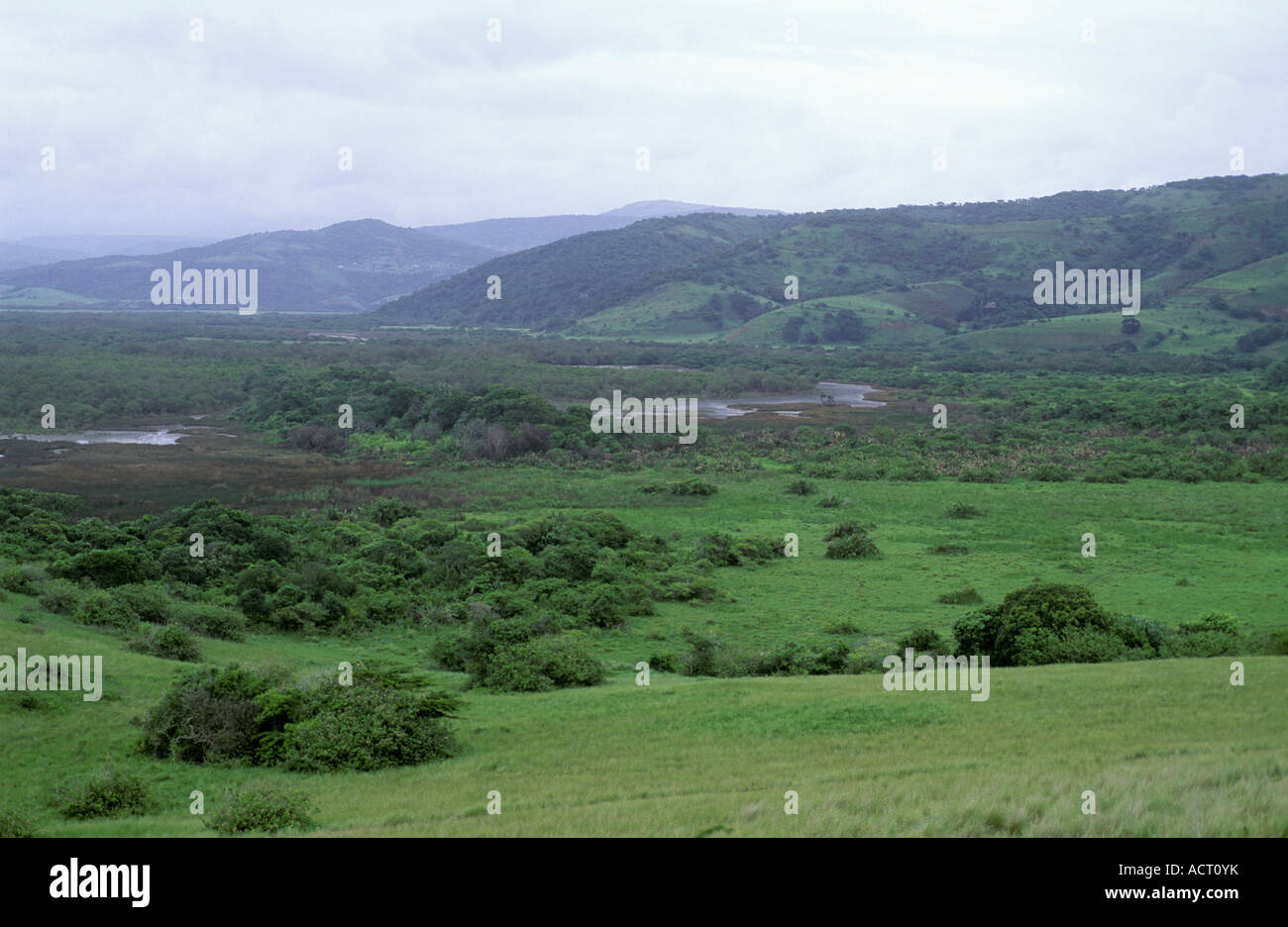 Vista panoramica del fiume Umngazana estuario la foresta di mangrovie Transkei e provincia del Capo Sud Africa Foto Stock