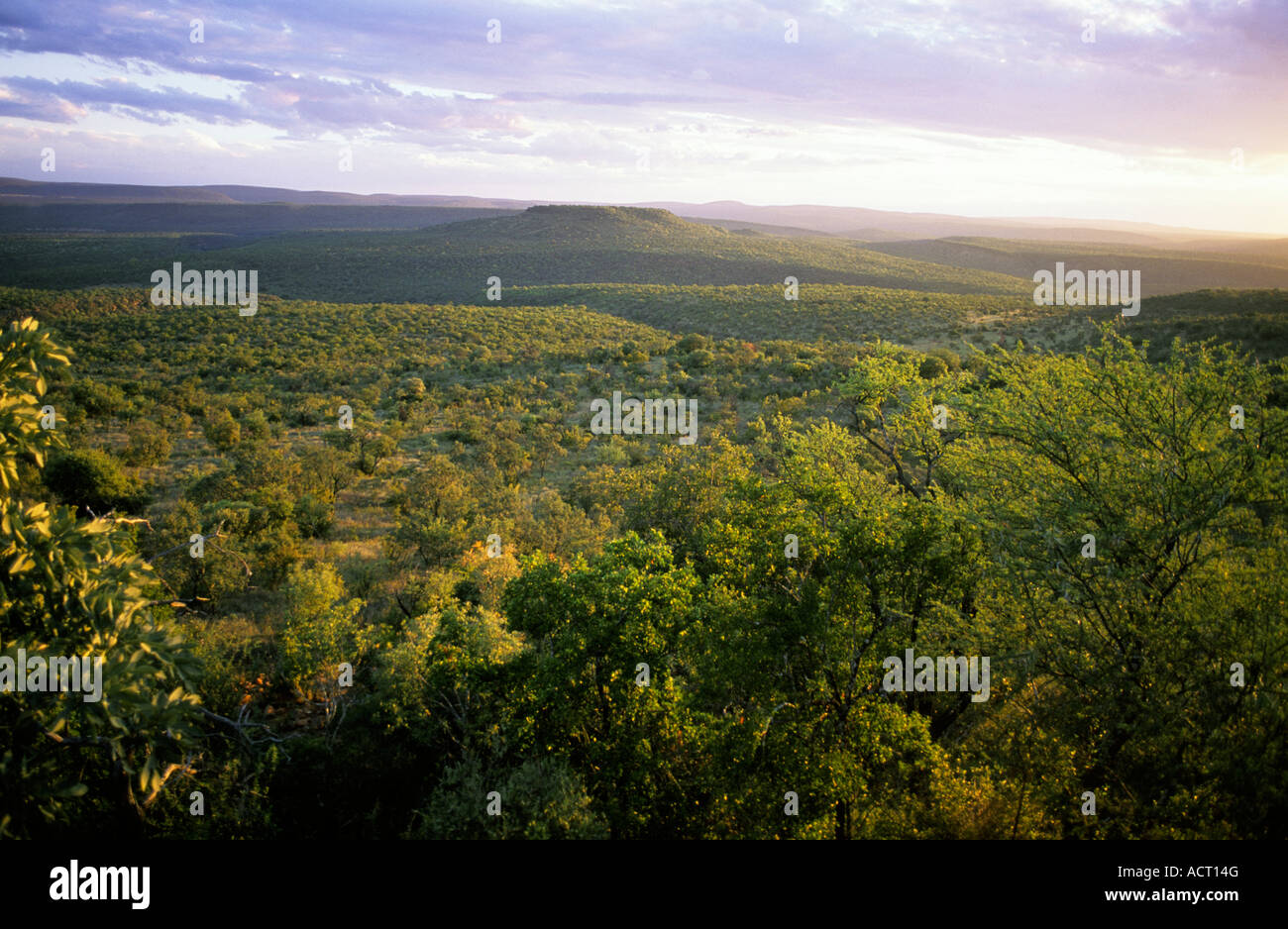 Vista panoramica di Lapalala Wilderness dal Belvedere con Malore Hill in background Foto Stock