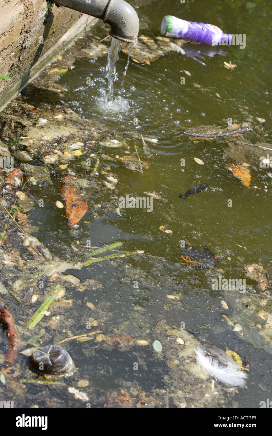 Inquinamento di acqua stagnante con scorie e rifiuti Foto Stock