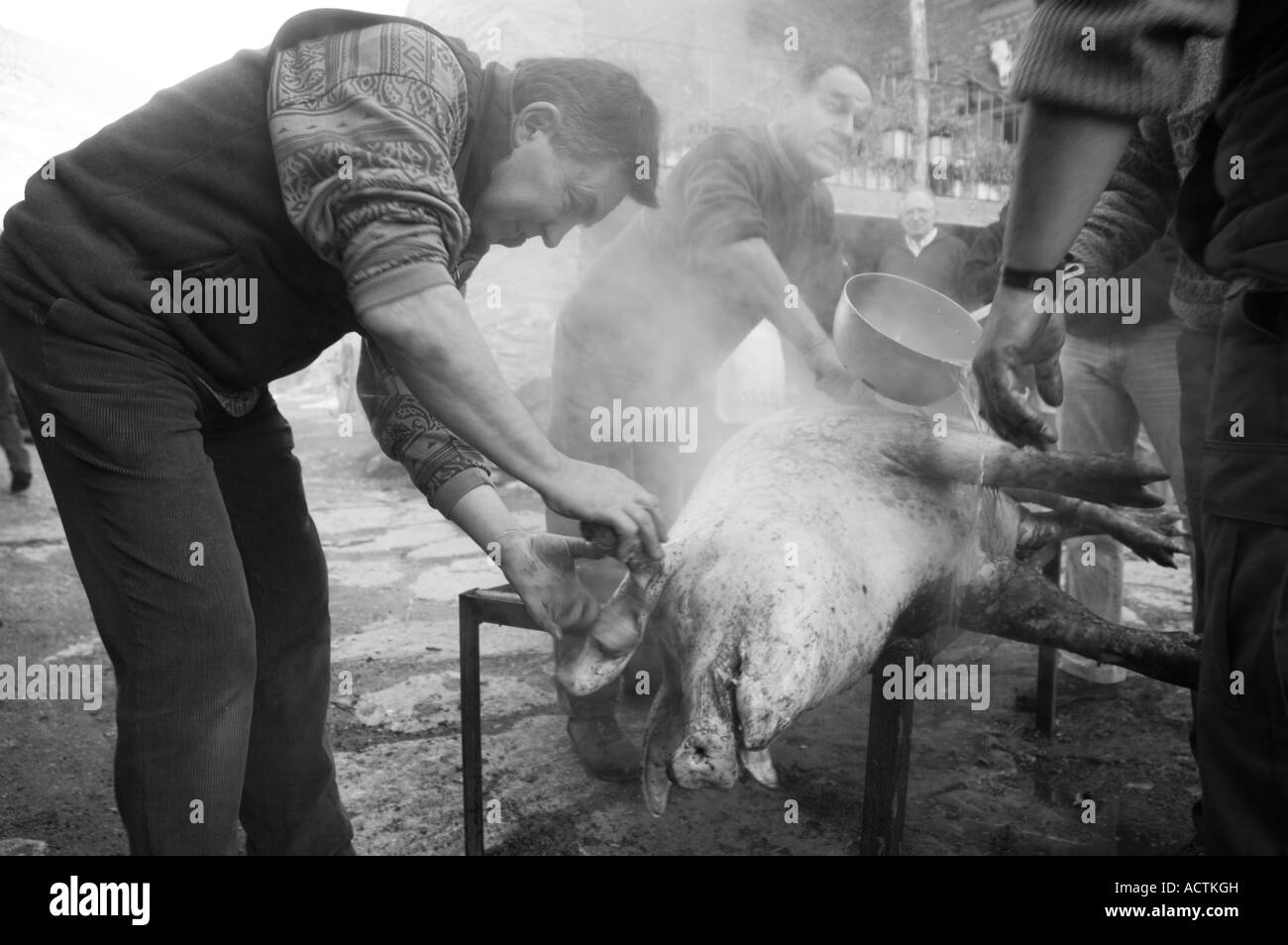 L annuale la macellazione del maiale fatto nel modo tradizionale Pirenei Spagna Foto Stock