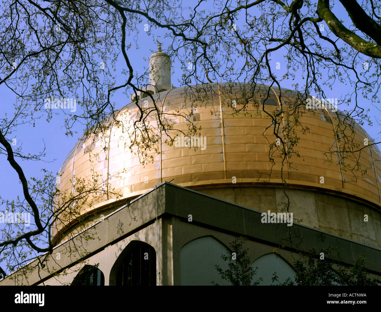 Regents Park Londra Inghilterra Londra centrale la cupola della Moschea e minareto Foto Stock