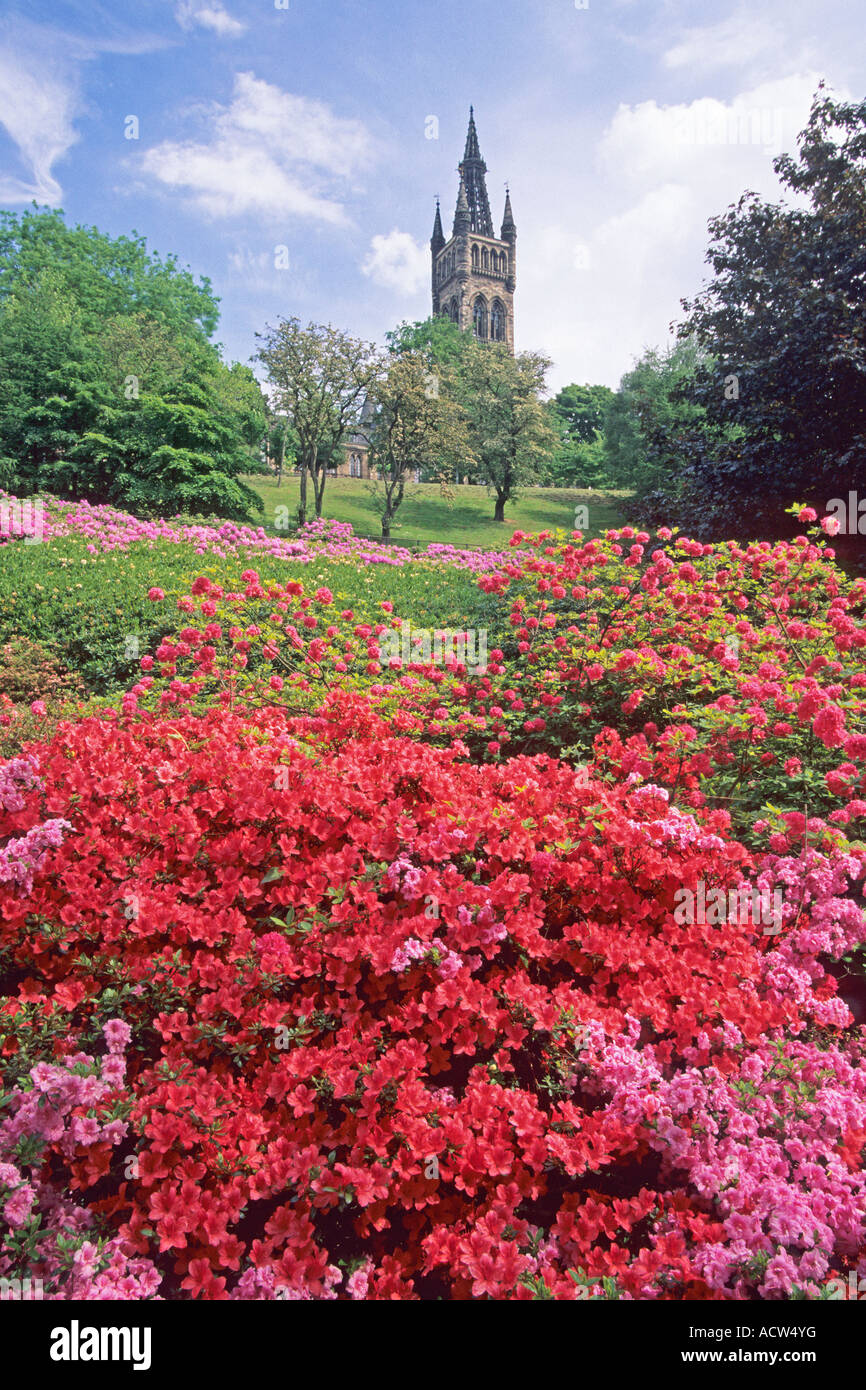 La torre di Glasgow University da Kelvingrove Park Foto Stock